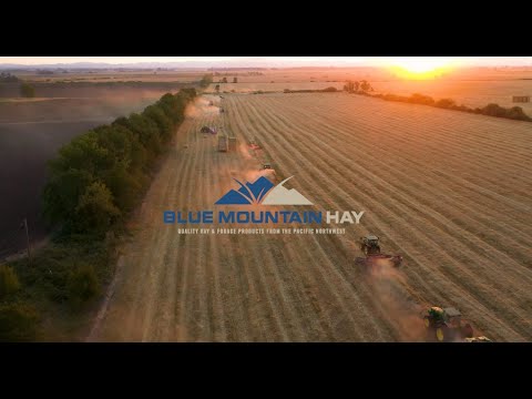 About the Blue Mountain Hay. Three generations of family farming in the beautiful Pacific Northwest.