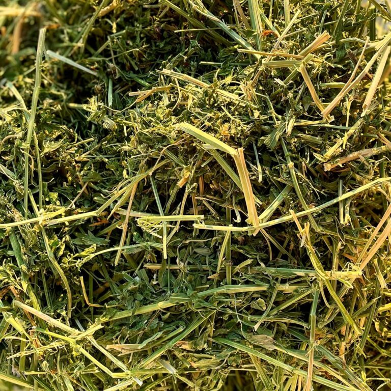 organic alfalfa hay