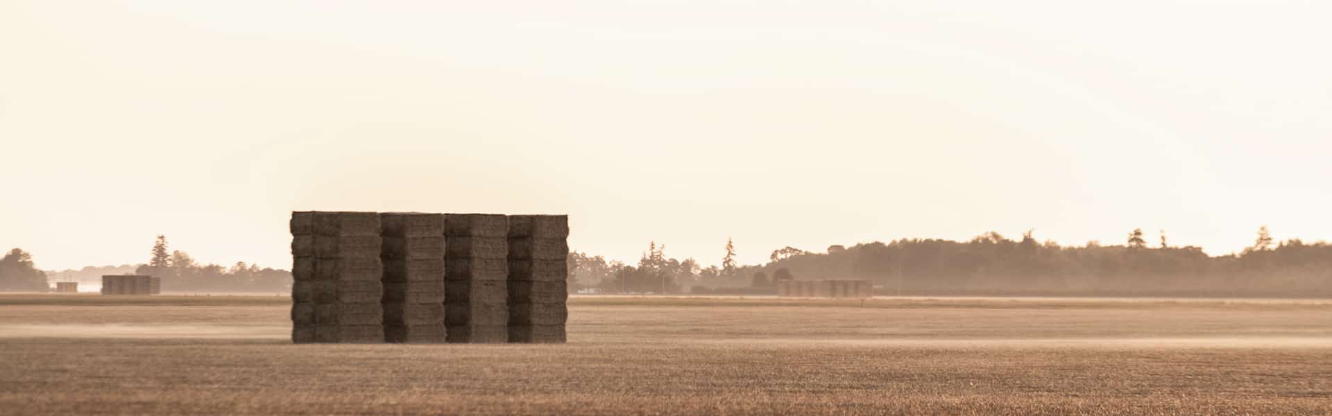 hay bales in field used as checkout page's featured image