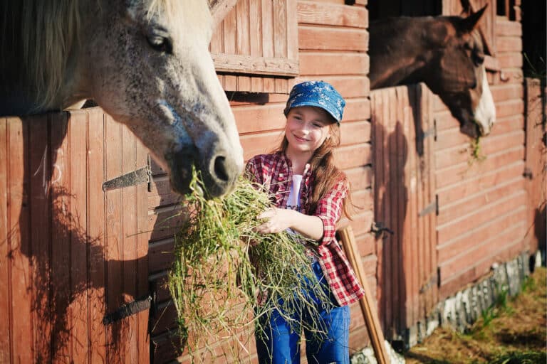 girl feeding horse hay and straw that is for sale