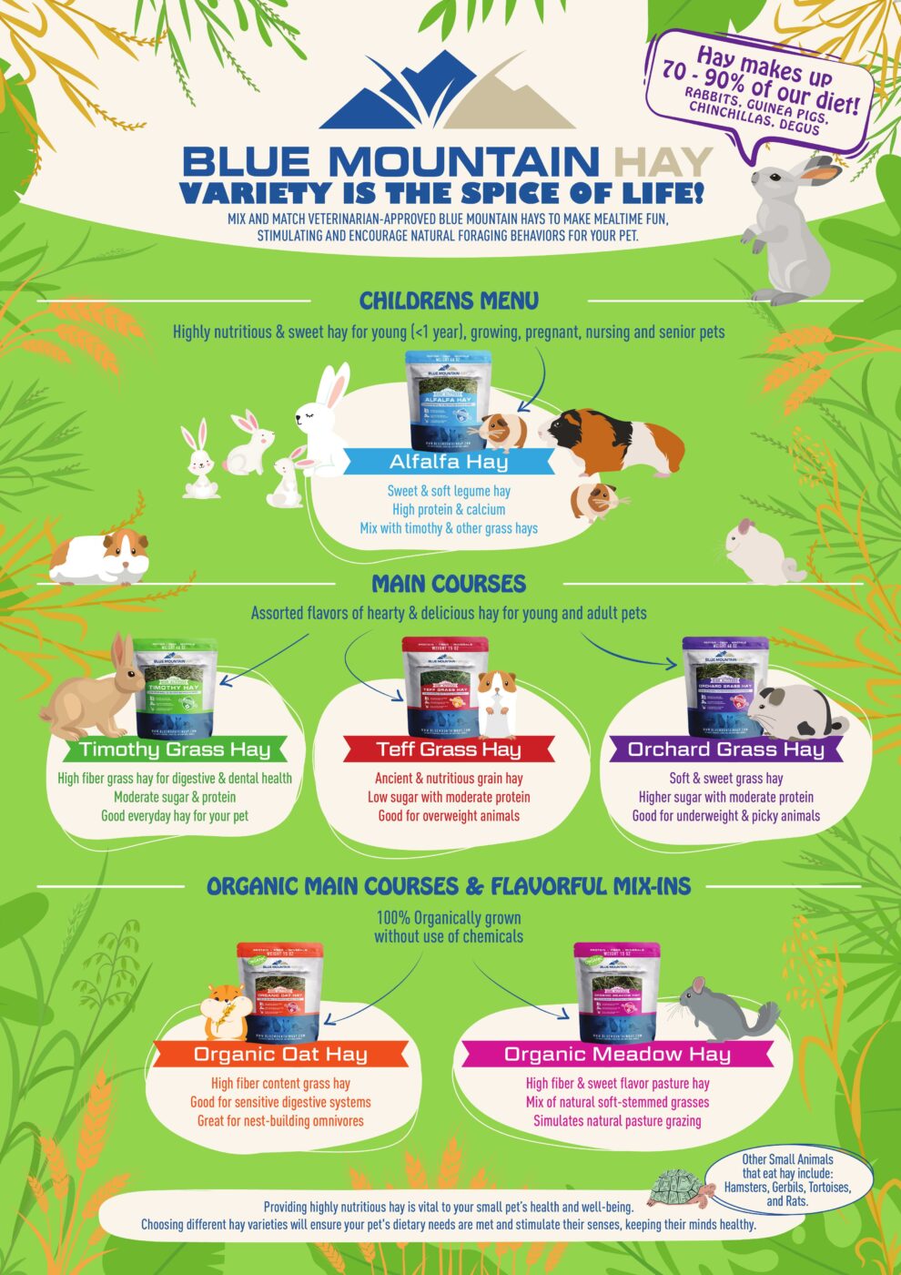 visual 6 hay product buyer's hay guide for small pets infographic