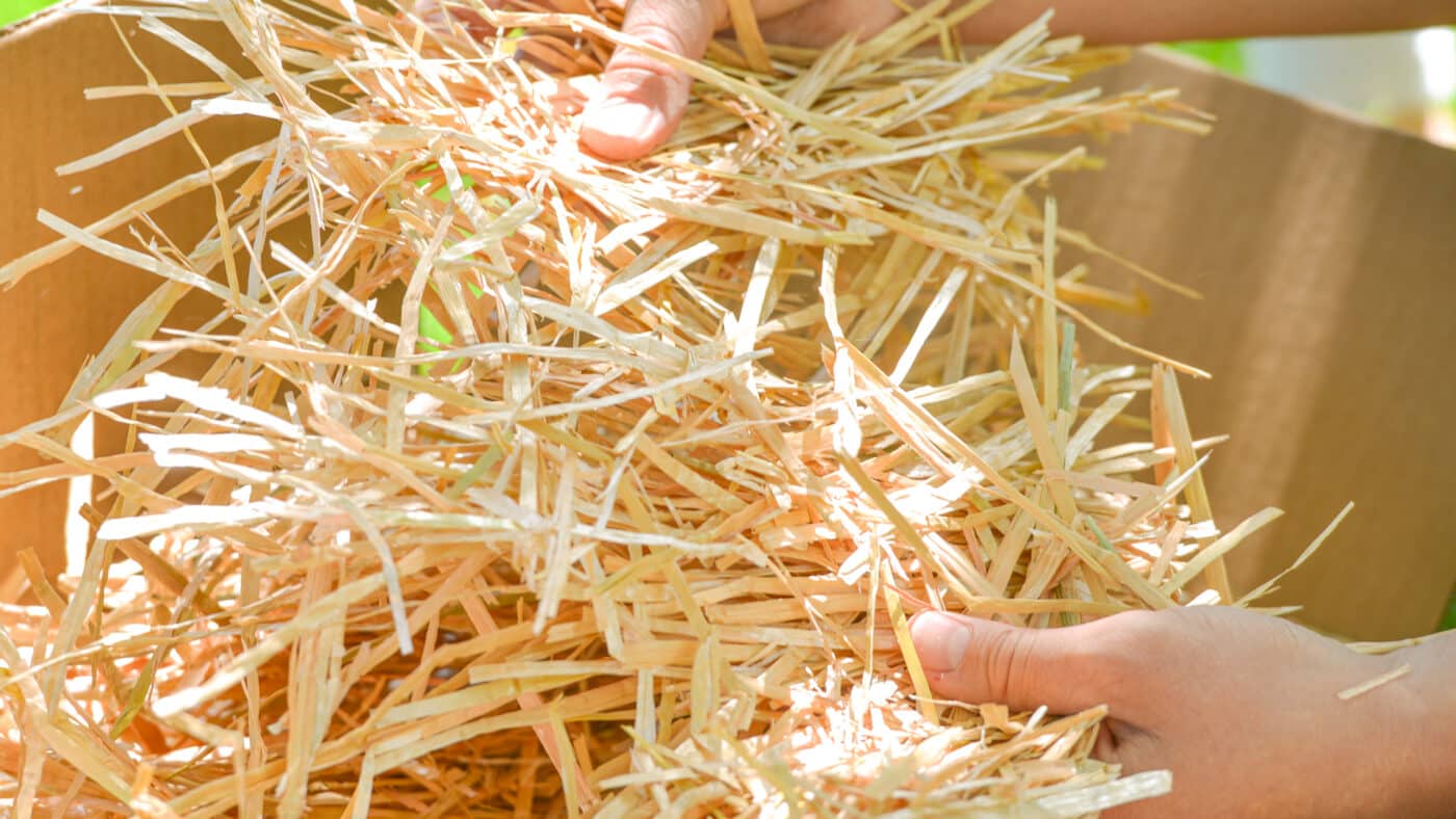 piecing apart straw bedding for rabbits for sale