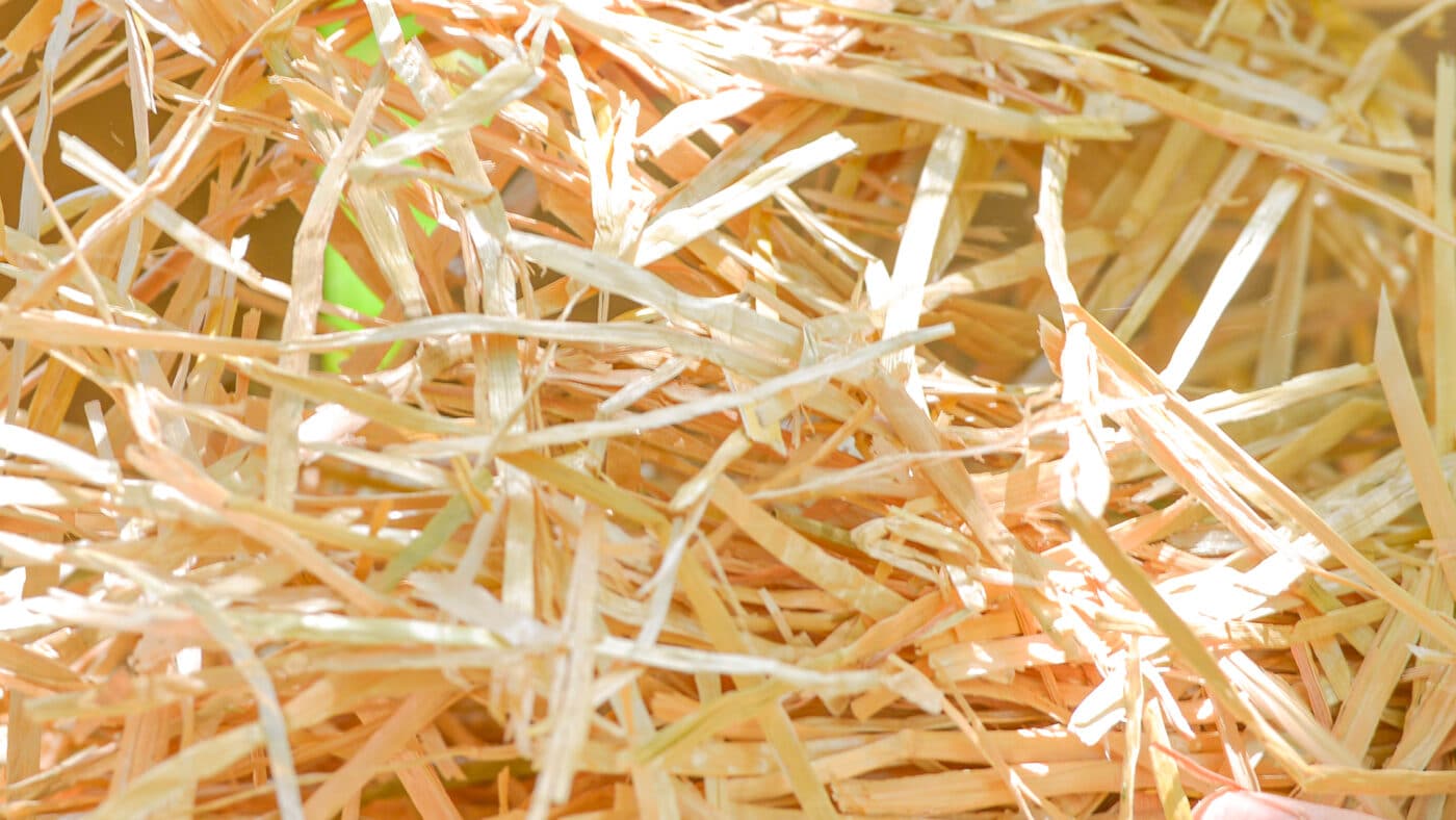 close-up of straw for cat shelter for sale in united states