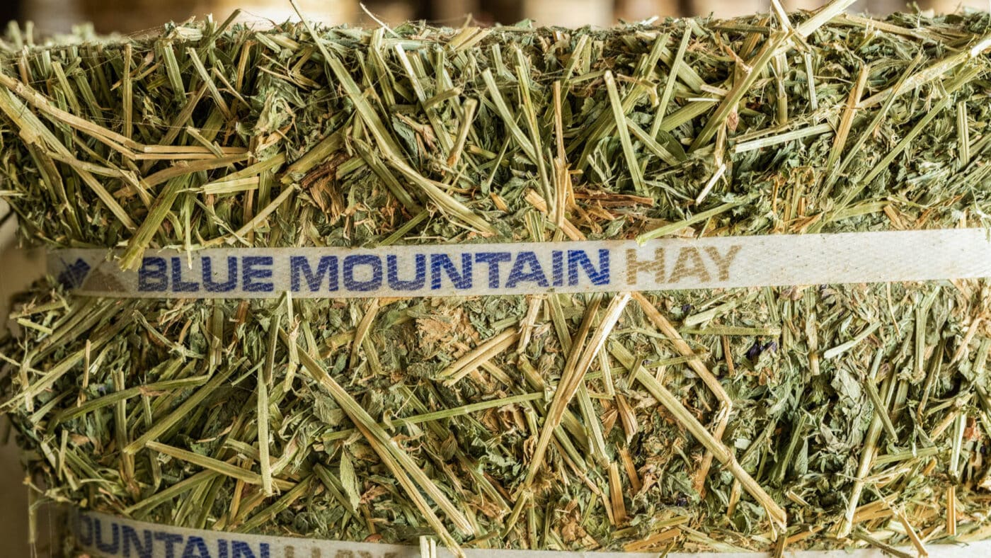 A bale of the best timothy hay for rabbits