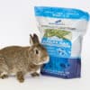 rabbit with alfalfa hay for sale