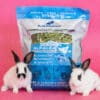 white rabbits with alfalfa pouch for sale