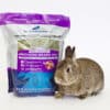 rabbit with orchard grass hay pouch for sale