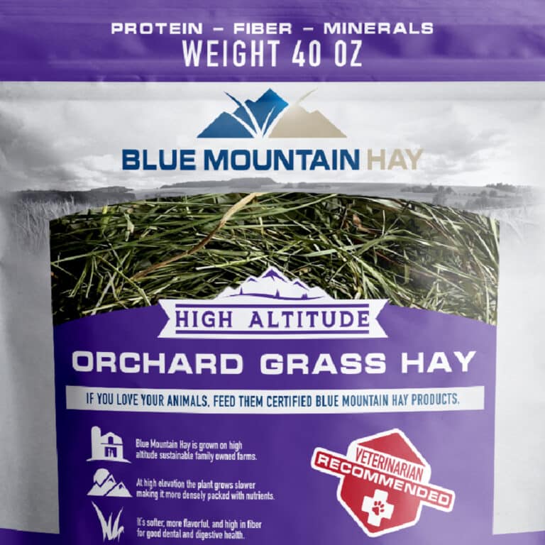 close-up of orchard grass hay for sale pouch