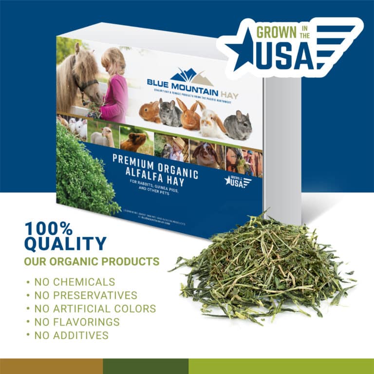 product box of alfalfa hay for sale