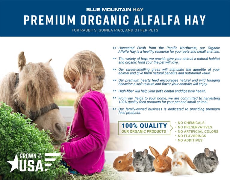 descriptions of alfalfa hay for sale