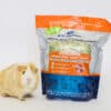 guinea pig with organic oat hay pouch for sale