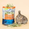 rabbit with organic oat hay pouch for sale
