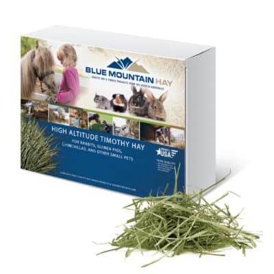 product image of quality timothy grass for sale