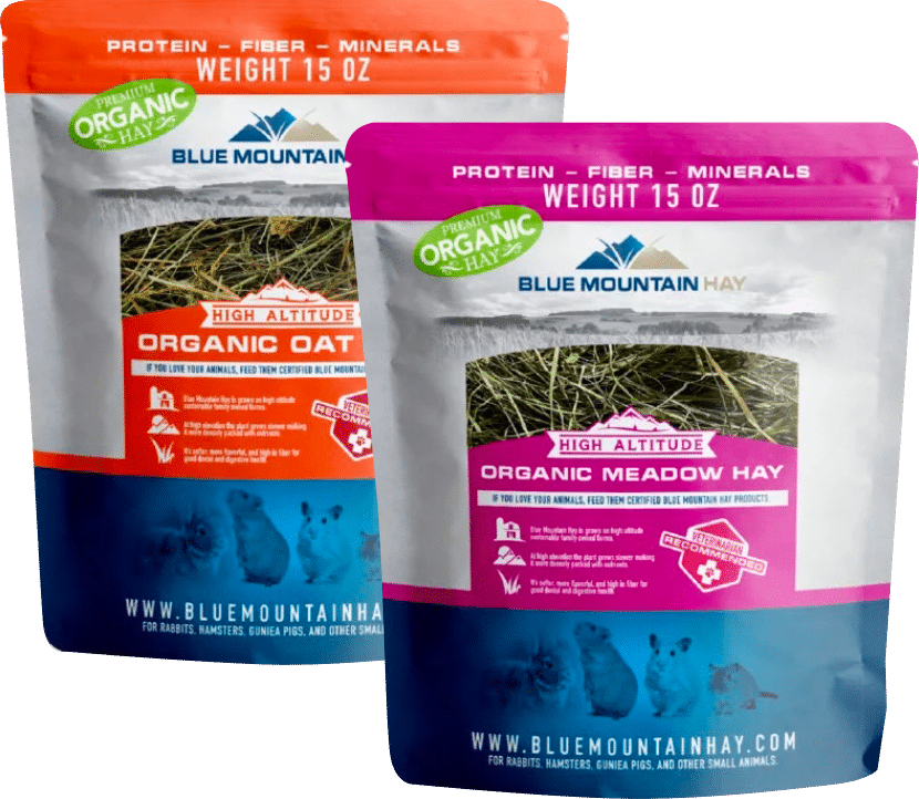 blue mountain hay bunny products