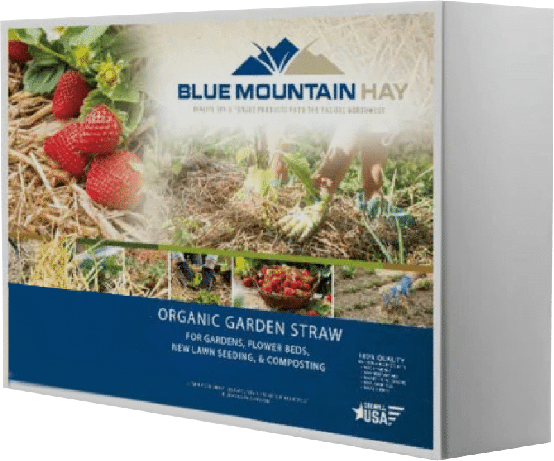blue mountain hay high altitude organic garden straw Product