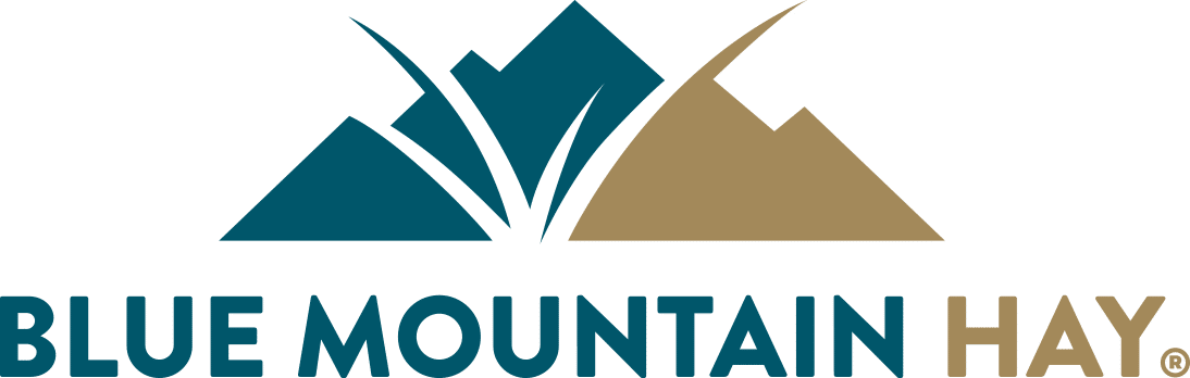 blue mountain hay logo 1