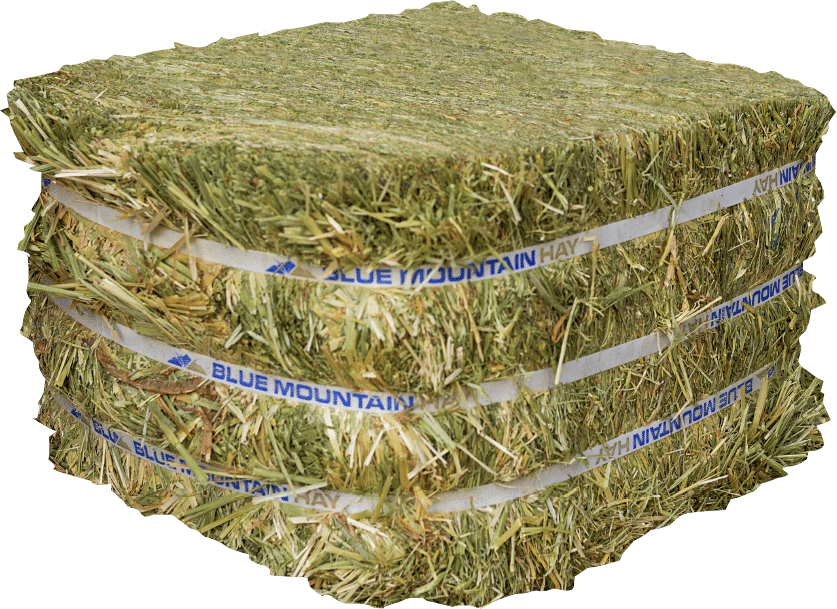 blue mountain high altitude horse hay feed