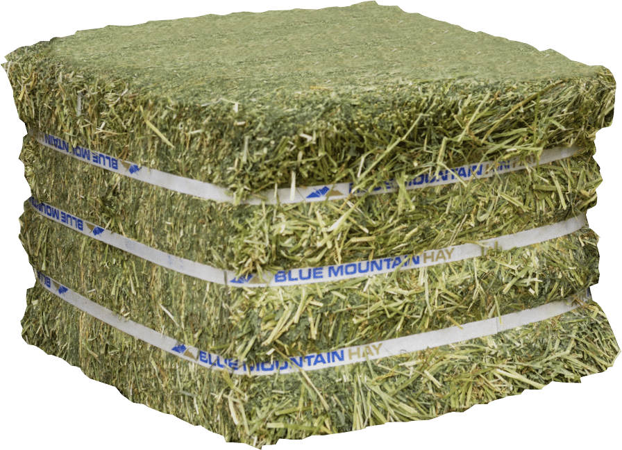 blue mountain high altitude horse hay product
