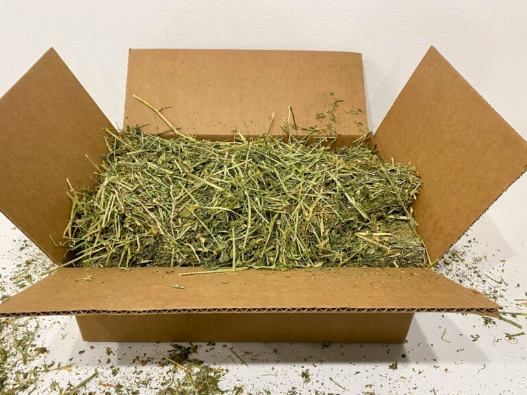 alfalfa hay for sale with hay around the box