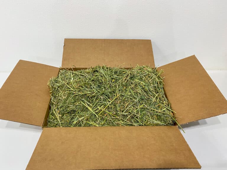 box of fresh organic alfalfa hay for sale