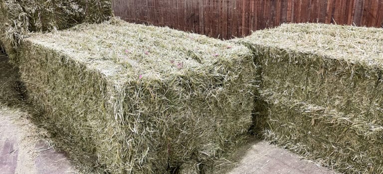 bales of fiber pro for hay and straw export