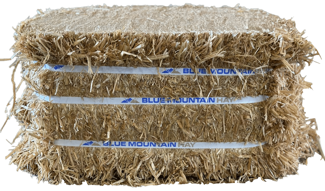 cutout of bale for hay for livestock page