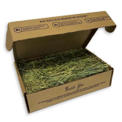 open box of orchard grass hay for sale