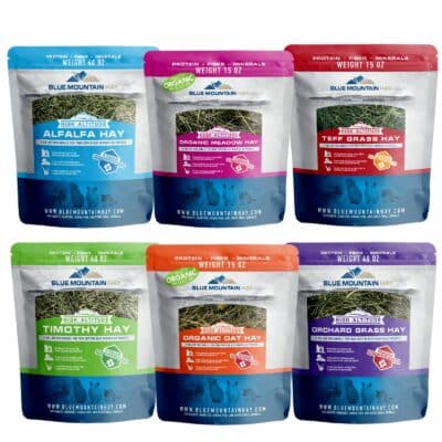 photo of all hay pouch products available for pet hay bundle for sale