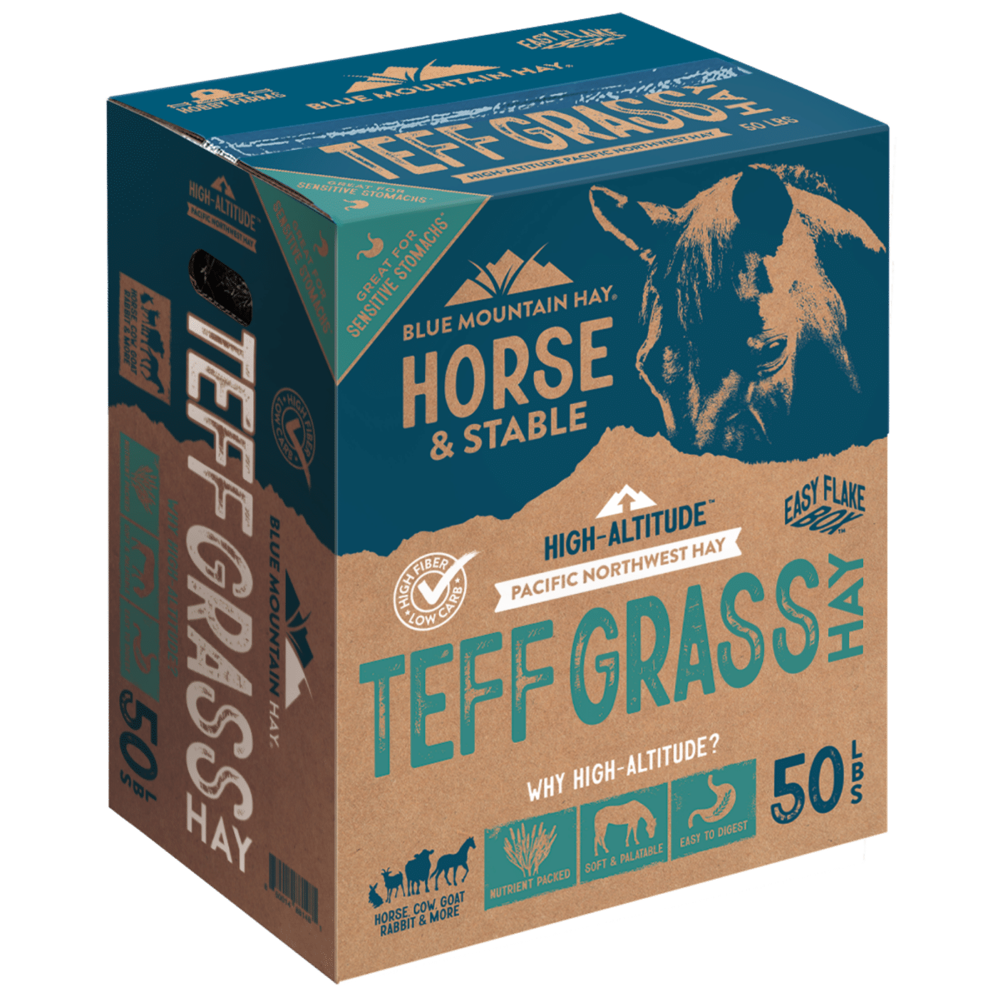 teff grass